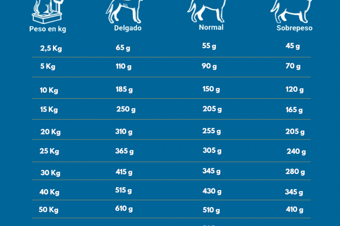 ¿Cuánto Pienso debe comer un perro al día?