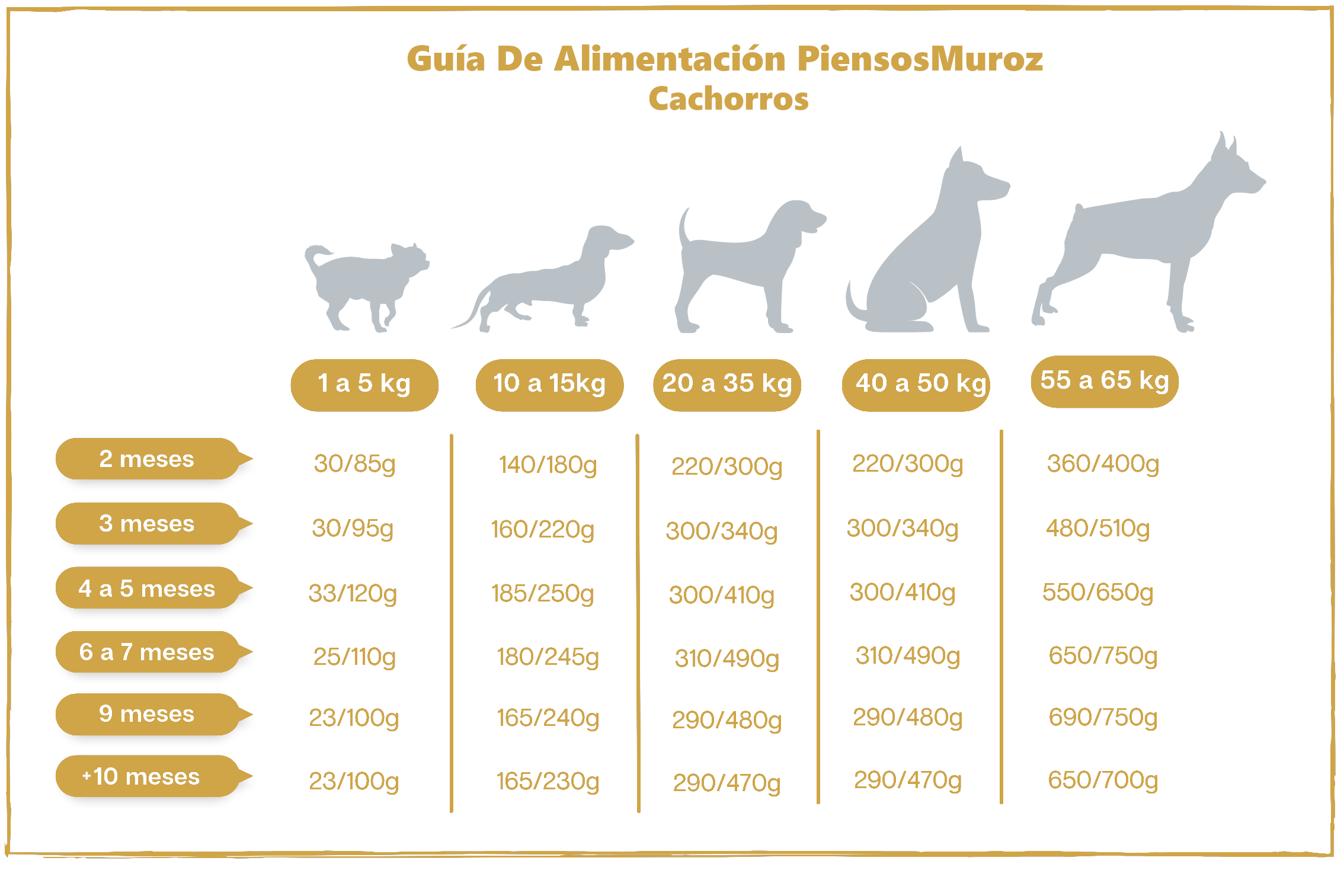 Avanzar destacar Decano Guía De Alimentación para Cachorros - LosMejoresPerros